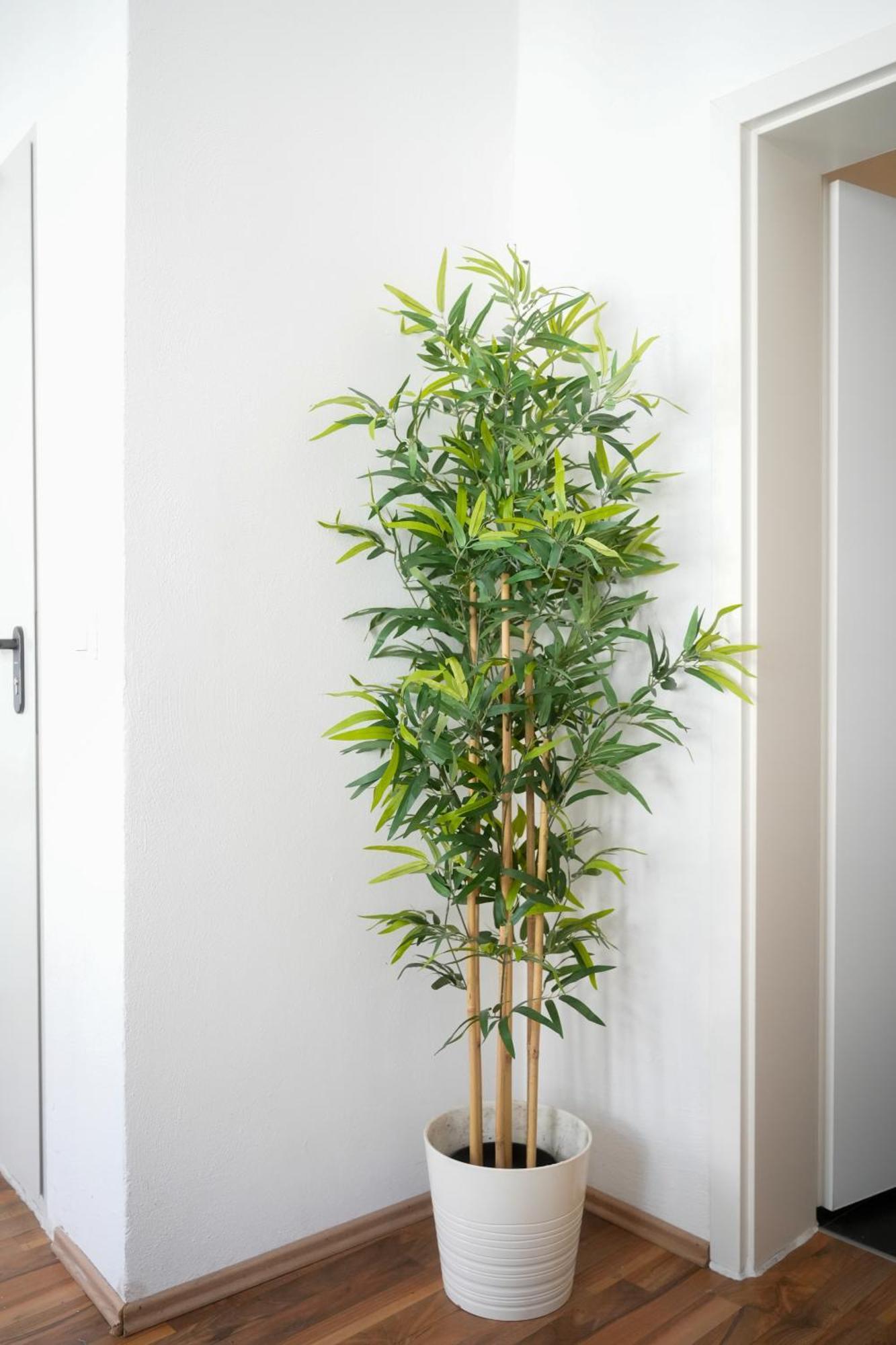 Ferienwohnung Altstadt Koblenz Koblenc Exteriér fotografie